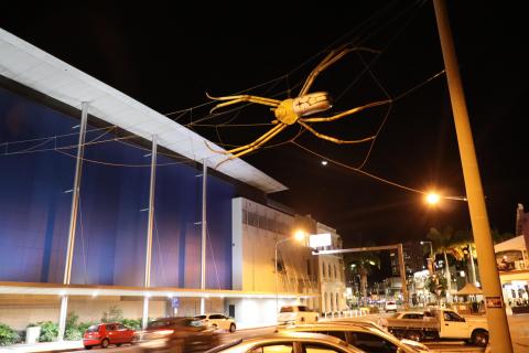 Dies ist zu Glück keine echte Spinne...