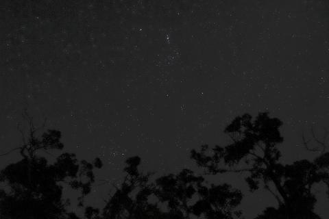 Orion
