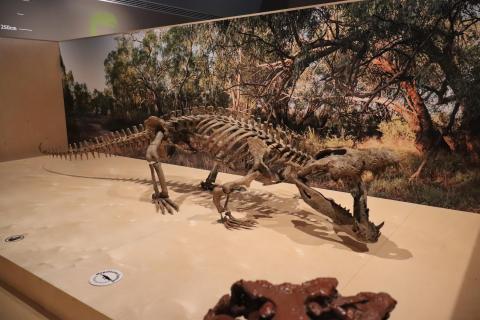 Ein zum Gl&uuml;ck ausgestorbenes Krokodil